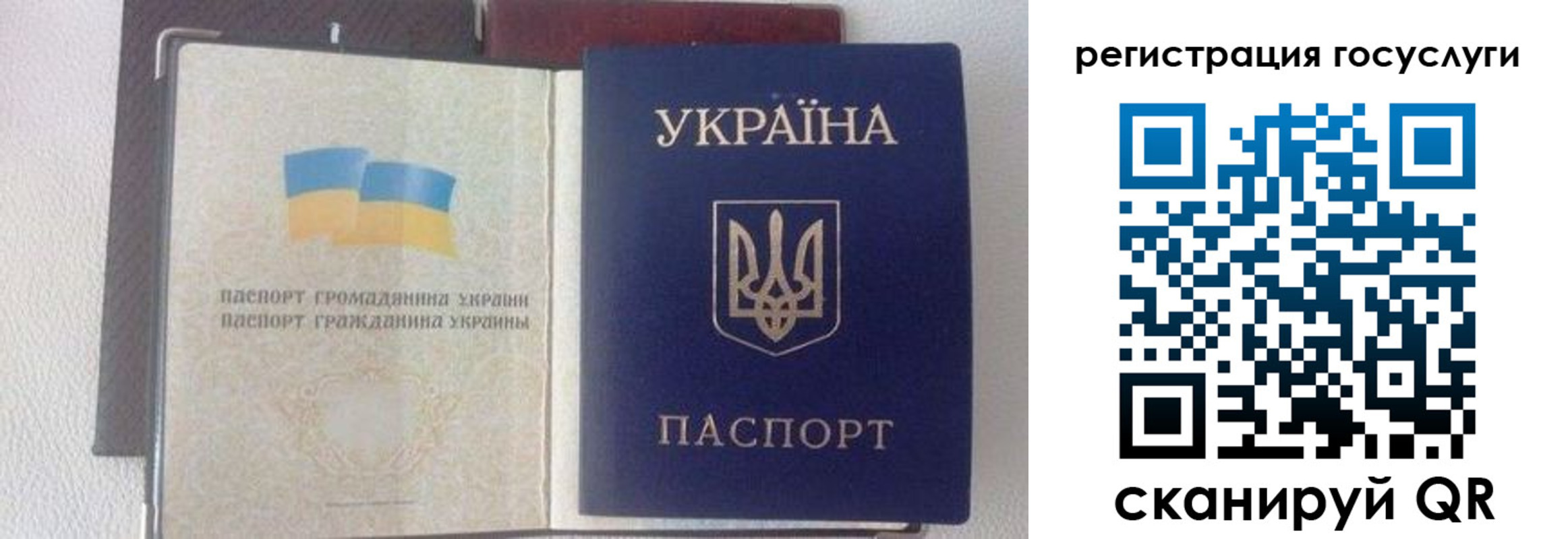 прописка для работы в Жердевке